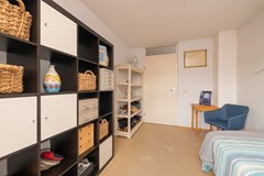 Vrouwenmantel 81  Schoonhoven 051.jpg